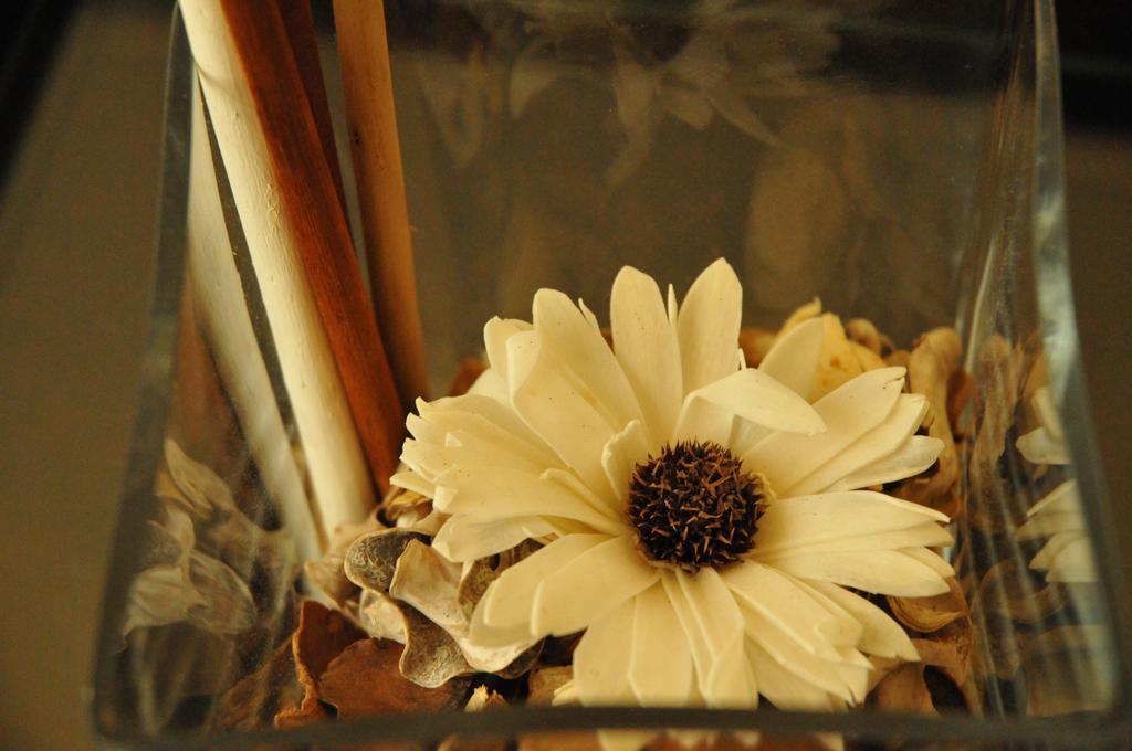 Ester Guest House Chaves Dış mekan fotoğraf